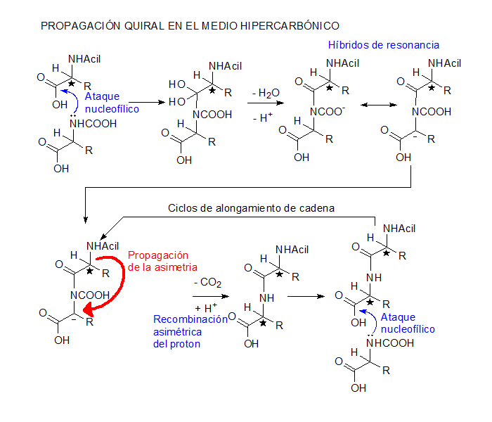 Propagaci&oacute;n quiral Origen de la homoquiralidad biol�gica