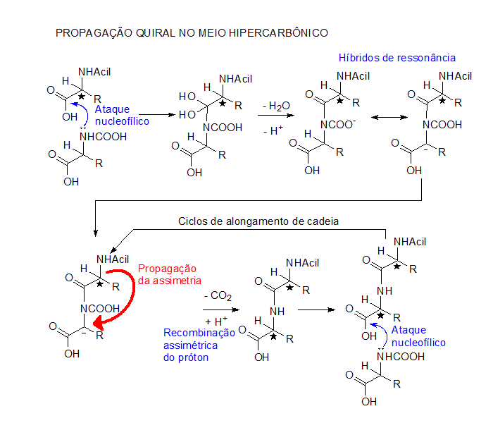 Propaga&ccedil;&atilde;o quiral - Origem da homoquiralidade biol&oacute;gica