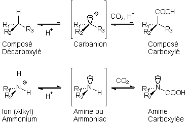 Carboxylations
